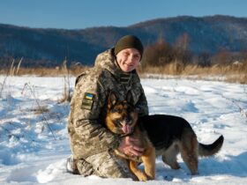 чоловік, собака сніг, гори