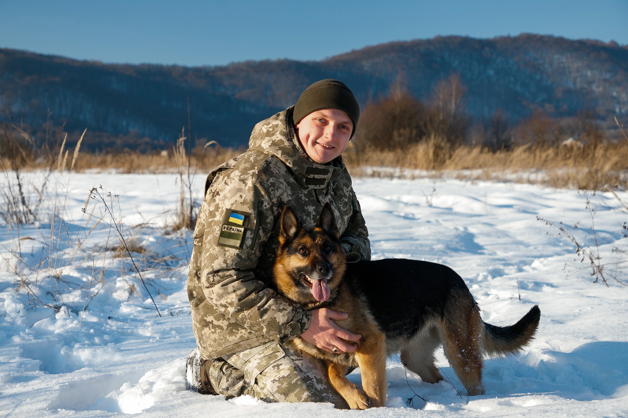 чоловік, собака сніг, гори