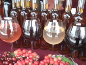 вино, виноград, пляшки, бокали