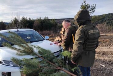 чоловіки, авто, ялинка