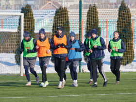 чоловіки, поле, сітка