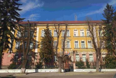 будівля, ялинки, вулиця