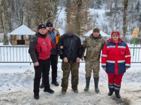 луди, гори, ліс