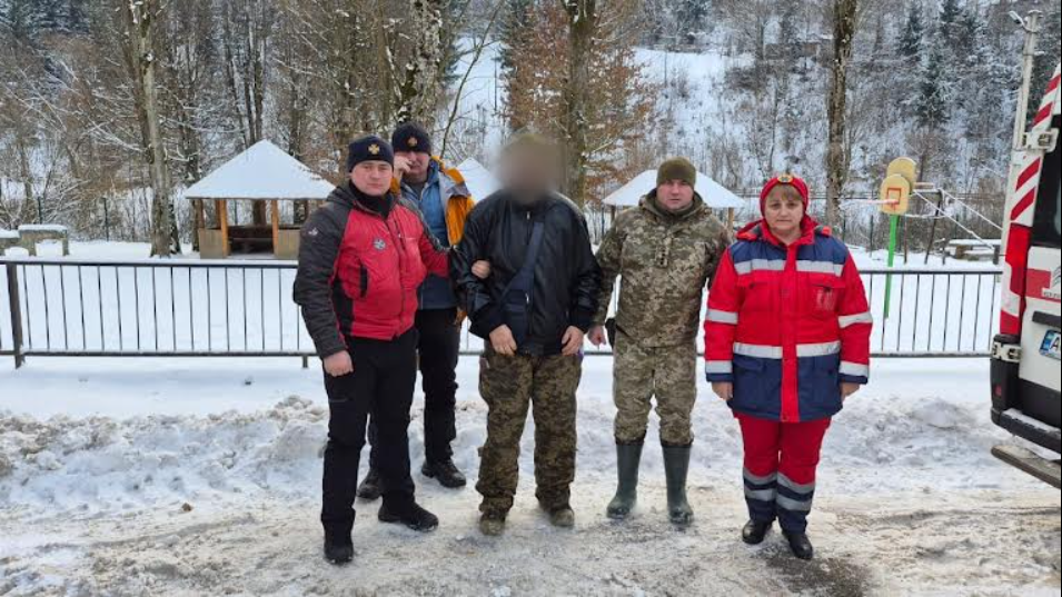 луди, гори, ліс