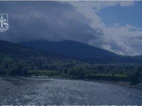 річка, гори, ліс