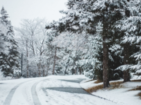 ліс, сніг, дорога