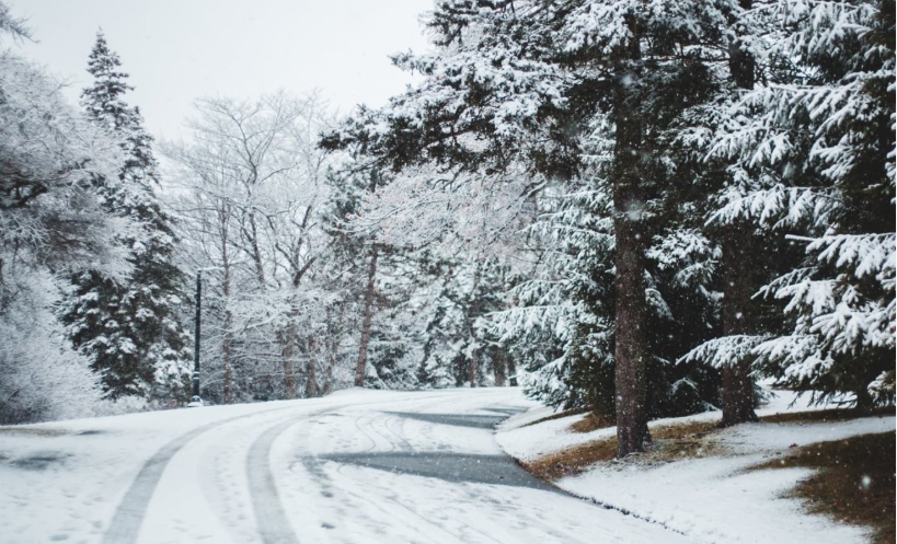 ліс, сніг, дорога