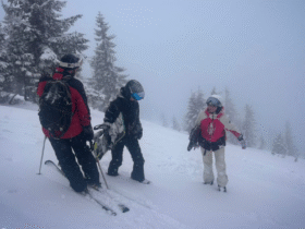 люди, сніг, гора, ялинки