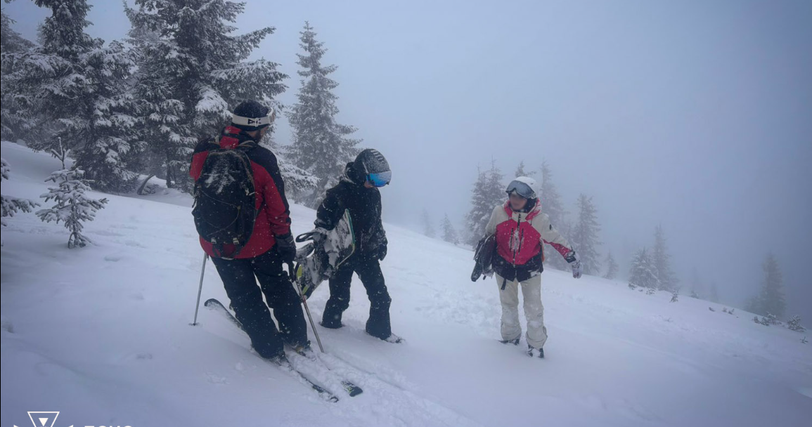 люди, сніг, гора, ялинки