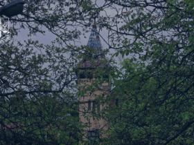 дерева, споруда небо