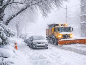 Негода на Закарпатті сніг