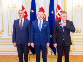 чоловіки, прапори