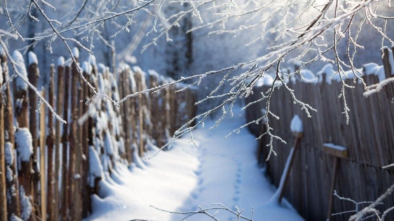 Аномальні морози