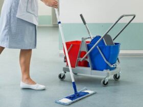 прибиральник