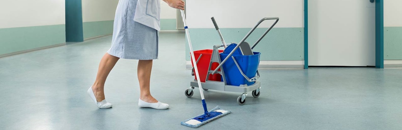 прибиральник