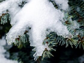 сніг закарпаття