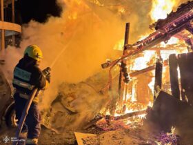 полум'я, пожежник