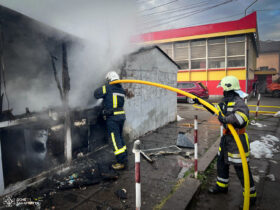 будинок, пожежники, дим