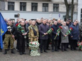 люди, квіти, дія