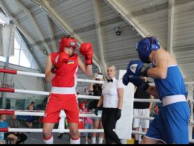 боксери, ринг, подія