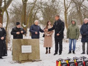 люди, дерева, сніг