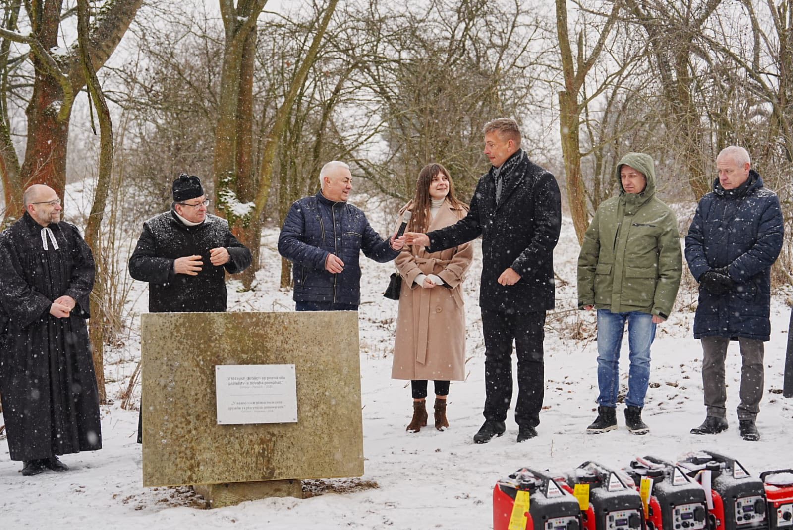 люди, дерева, сніг