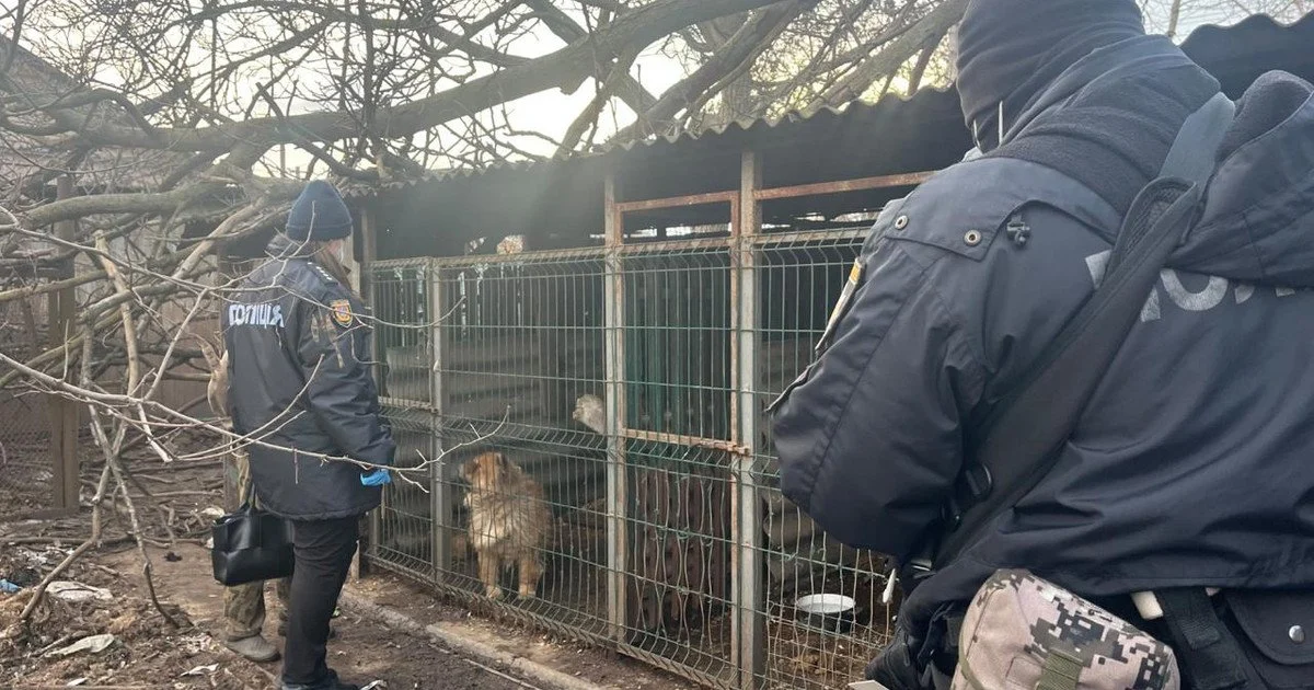 люди, клітка, тварини