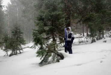 ліс, сніг, людина