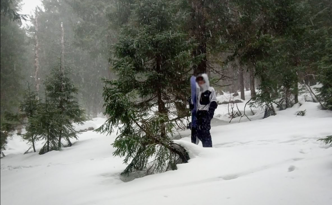 ліс, сніг, людина