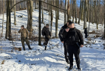 чоловіки, дерева, сніг