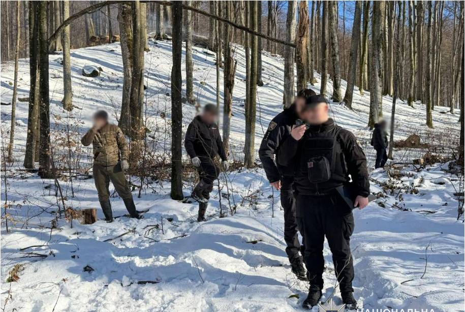 чоловіки, дерева, сніг