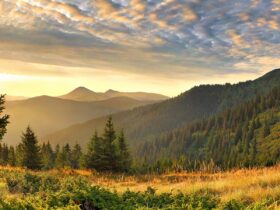 гори, небо, ліс