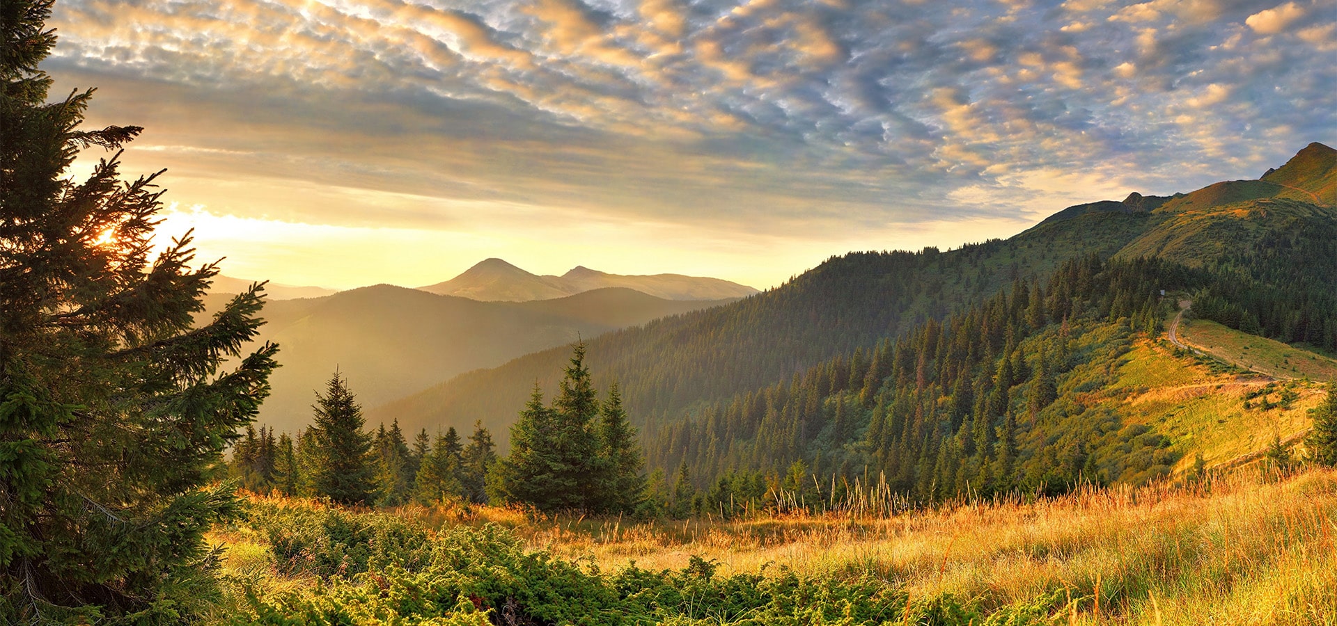 гори, небо, ліс