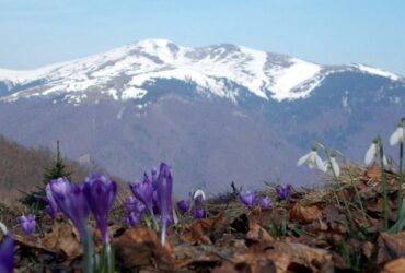 погода на Закарпатті