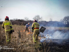 дим, галявина, дерева, чоловіки