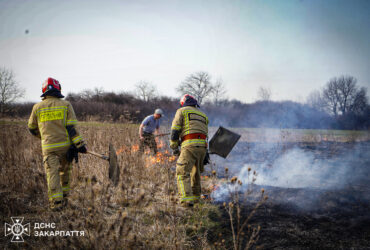 дим, галявина, дерева, чоловіки