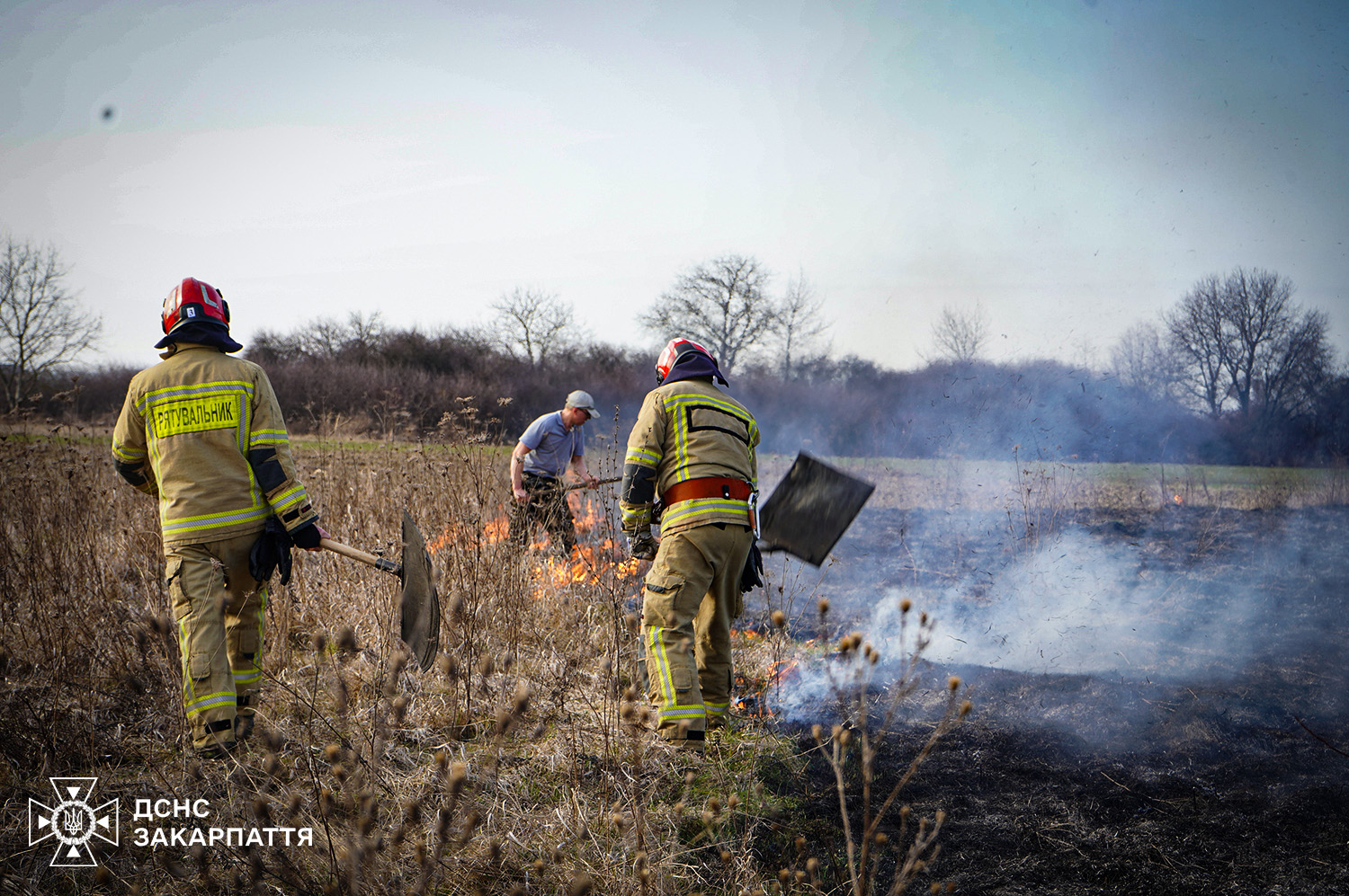 дим, галявина, дерева, чоловіки