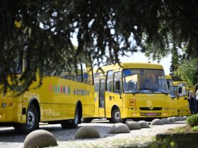 автобуси, дерева, дорога