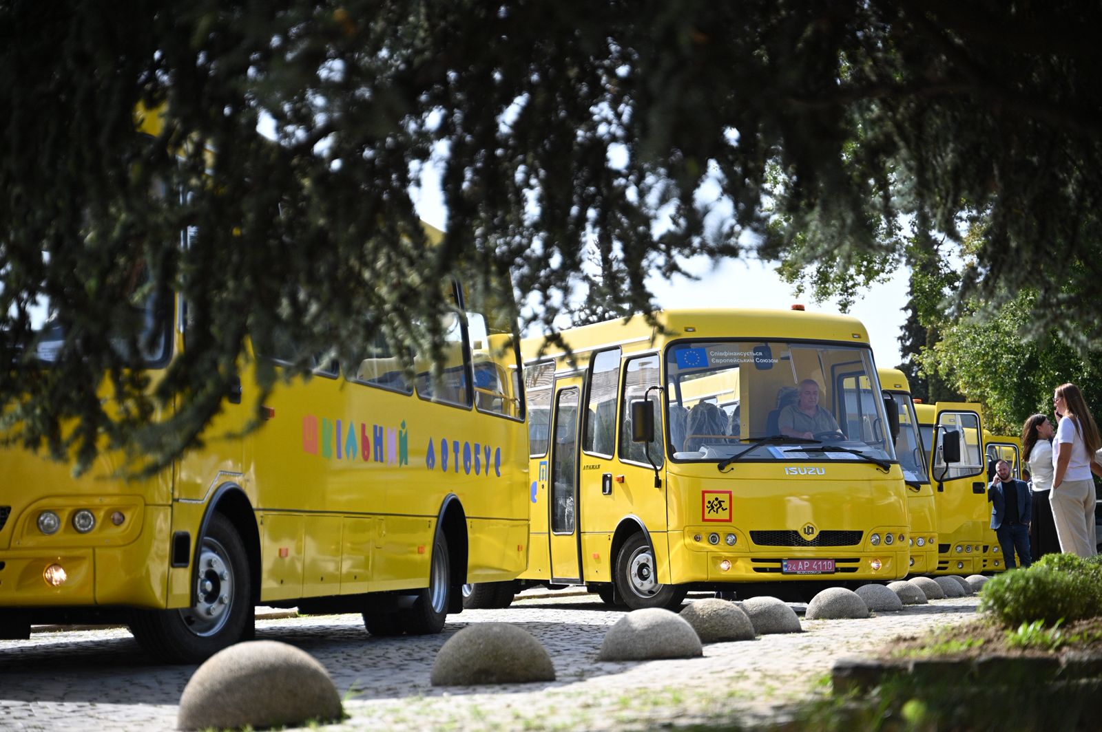 автобуси, дерева, дорога