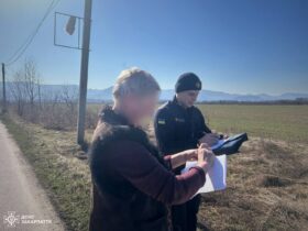 чоловік, жінка, поле, документи