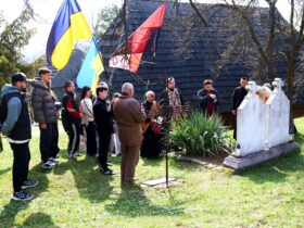 люди, прапори, дія