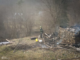 трава, дерева, дим вогнеборець