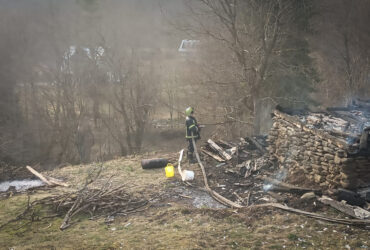 трава, дерева, дим вогнеборець