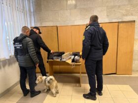 чоловіки, кімната, стіл, пакунки, собака