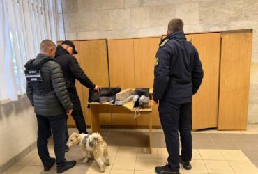 чоловіки, кімната, стіл, пакунки, собака