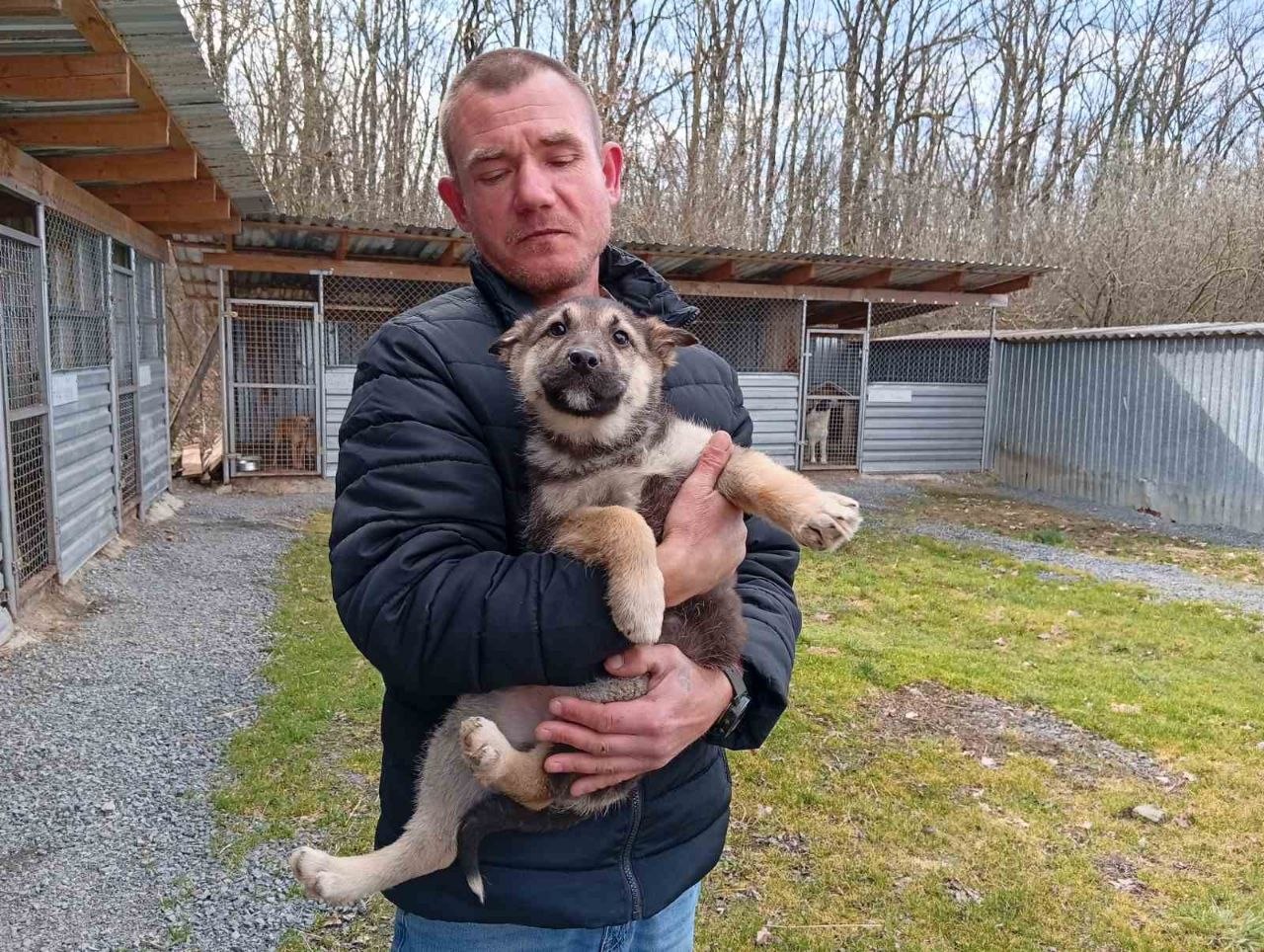 чоловік, пес, вольєри