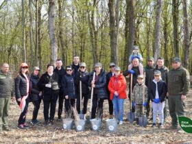 люди, ліс, лопати, відра