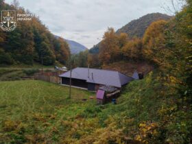 гори, ліс, будинок