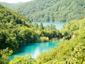 озера, гори, ліс