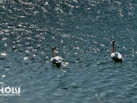 Прогноз погоди на Закарпатті